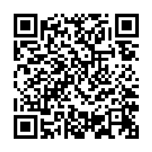 这次是莫小鱼自己要根据文征明的画风进行自己创作二维码生成