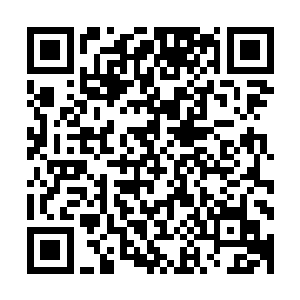 这次是靠近印度的州邦认为新的宪法没有给予他们自治的地位二维码生成