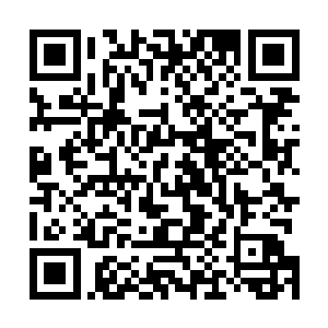 这次梓箐只用了两天时间就让灵魂和身体达到完美的融合二维码生成