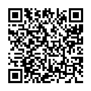 这次治疗最大的收获就是存在他体内还有很多的进化之力二维码生成