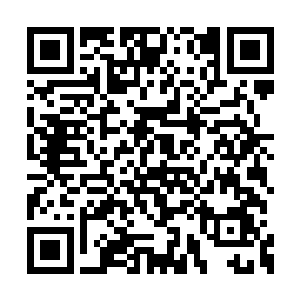 这次炼制的阵柱不再是低等级的没有灵性的阵法二维码生成