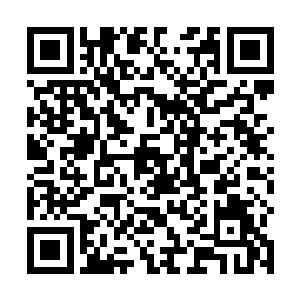 这次熔火血系的苏醒也是因为受到了深渊腐蚀术的侵入二维码生成