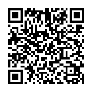 这次由天全长老和月合长老负责将你们带去试炼之地二维码生成