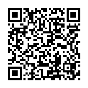 这次的兰花品鉴大会对丈夫来说真的是太重要了二维码生成