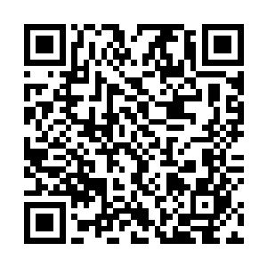 这次的报道最终导致了潘德拉开始大量召回受质疑产品二维码生成