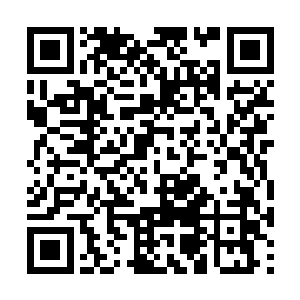 这次的收获是苗毅步入修行界以来收获最丰的一次二维码生成