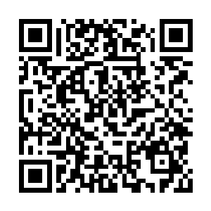 这次的旅程对妮娜来说真是短暂的彷如一场梦境二维码生成