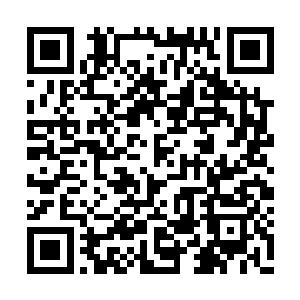 这次的行动因为通讯问题导致了小队的大量损失二维码生成