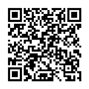 这次的赌局竟然能让很少参与他们游玩的上官飞都加入了二维码生成