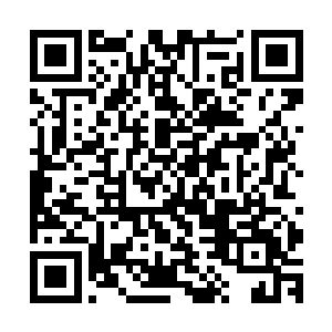 这次竟然把这两位早就明晃晃对立的元帅指派到一个战场上来二维码生成
