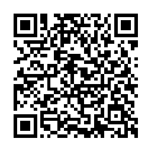 这次篝火大会因为天气缘故并没有放在外面举行二维码生成