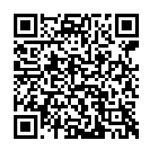 这次肯定是有什么新的进展了吧……一个人来的二维码生成