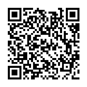 这次血狱之主来不过就是为了争夺神界的世界之心二维码生成