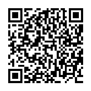 这次金家原来在养伤的剑圣和两名九级顶峰的高手也都加进来了二维码生成