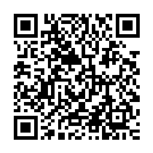 这次钻石联盟的特别会议莱昂内尔已经选择了兰尼特去参加了二维码生成