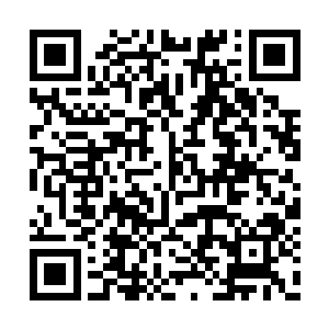 这次锦曦却没能避开――或者也没打算真的避开二维码生成