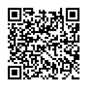 这次除开了原本就被人熟知的南北两大事务所之外二维码生成