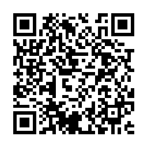 这次靠着夏天一个人是不可能灭杀他那么多高手的二维码生成