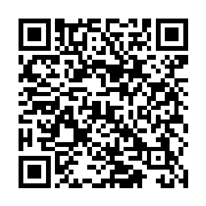 这次龙傲天他们准备动身前往神州域最大的城池天尊城二维码生成