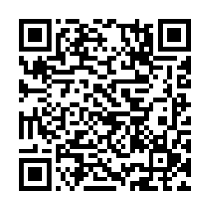 这次龙傲天布置阵法一共花费了十万多块上品晶石二维码生成