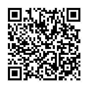 这正是唐劫以完美之躯轰出完整态灭魔拳的效果二维码生成