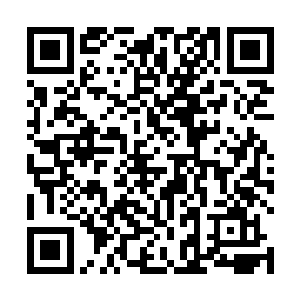 这正是朱雀和安琪儿那被轮回之力强化过后的朱雀之焱二维码生成