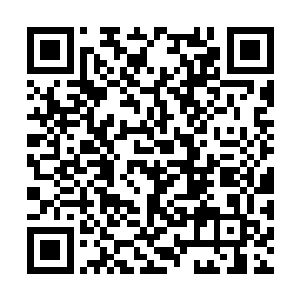 这正是李峰刚刚竞拍下来的火属性禁咒的魔法咒语二维码生成