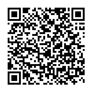 这武老头硬生生凭着自己一身蛮力独占五大地级武者而不落丝毫下风二维码生成