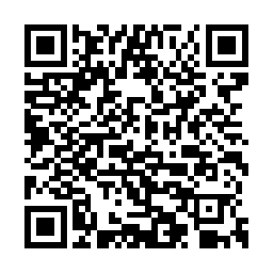 这死人的衣服身长怎么就跟我家人身高一样了呢二维码生成