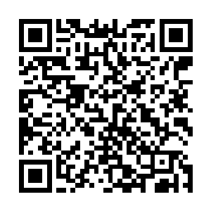 这死灵法师传承应该就是路西法他们那一族所传承下来的了二维码生成