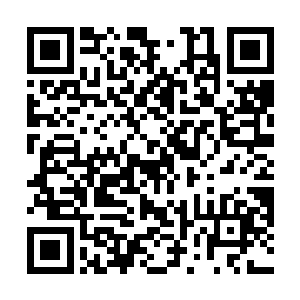 这段时间他想要叫风田财阀掌控人五本太郎暗杀洪大力二维码生成