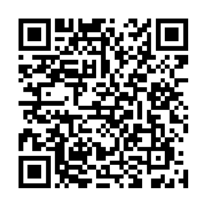 这段时间叶尊准备闭关修炼剑之力突破到剑师后期巅峰之境二维码生成