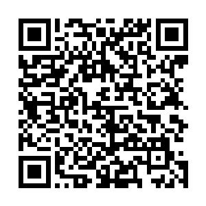 这段时间小龙对于路易斯二世来说也是没有多少时间照顾的二维码生成