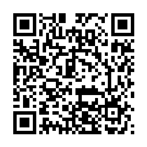 这段时间很多事情修王爷都没有交给他们三个护卫来做二维码生成