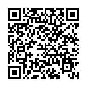 这段时间枣枣跟浩哥儿姐弟五人都将柳儿视若无物二维码生成