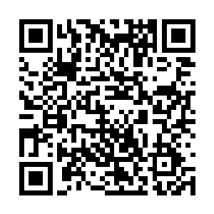 这段时间老是开着辆二手奔驰拉着小唐尼在基辅跑二维码生成