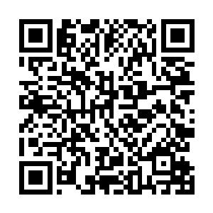 这段曰子来我们这里打探关于拍卖会的消息可是有不少人二维码生成