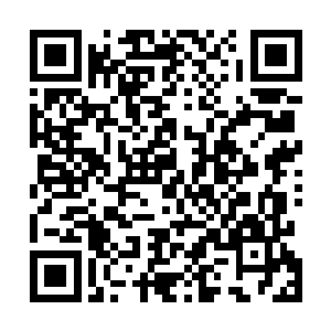 这毁灭大君也不过是一个介于超脱者和进化者之间的存在二维码生成