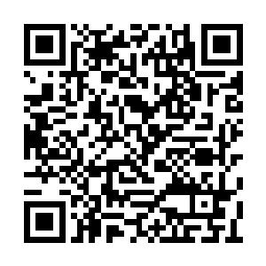 这毒素最主要的问题就存在于那血液中的血丝上二维码生成