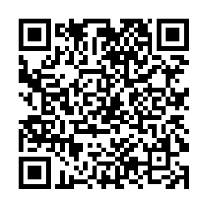这比林铭以区区锻骨期修为吸收紫蛟神雷更让她震惊二维码生成