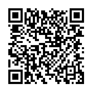 这比蛇王略强一线的邪魔毫无抵抗能力便授首当场二维码生成
