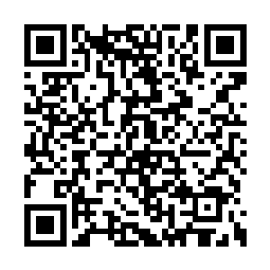 这比赛看起来波澜不惊没有什么惊险刺激的地方二维码生成