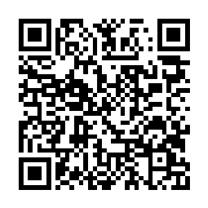 这气势是出自眼前这个手无缚鸡之力的女子身上二维码生成