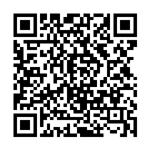 这汤底儿是拿庄头上送来的野鸡去了肉专炖骨头架子二维码生成