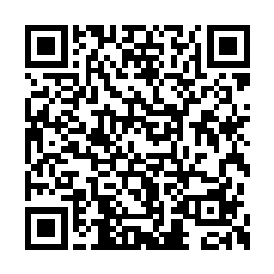 这洪荒世界中的格局又发生了什么新的变化不成二维码生成