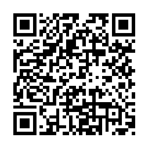 这海岛其实准确的说只是一个大一些的礁石而已二维码生成