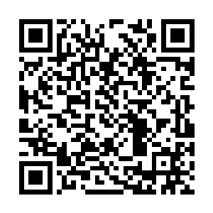 这海贝哗啦啦的声音听起来就像潮水一般汹涌的爱二维码生成
