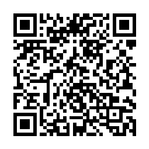 这深受重创的天位生物便被那暗影分身给砸碎了头颅二维码生成