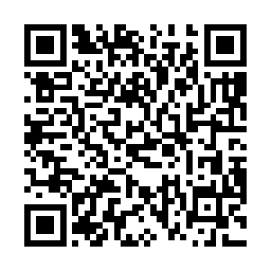 这滴金血是他这三千年来修炼九天凰体所炼出来的金血二维码生成