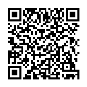 这漫天风雪的极地冰原也化为了被烈火所充斥的熔岩世界二维码生成